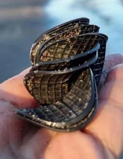 Photo of an open hand holding objects that look like black Pringles chips with grids marked in them. The sea shore can be seen blurry in the background.