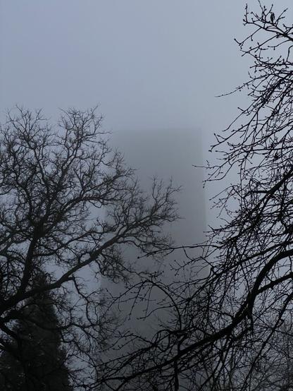 Large Monolith hidden in the fog with black leafless trees in front.