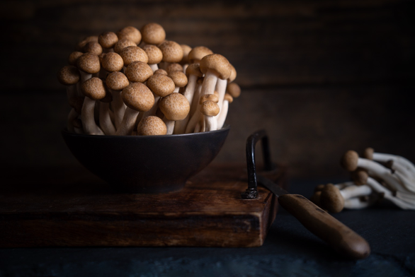 Eine Schale mit Buchenpilzen mit einer gedämpften Lichtstimmung