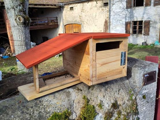Photo de la boîte aux lettres en bois, avec de la peinture suédoise sur le toît, peinture rouge ocre, et collé à sa gauche, un mangeoir à oiseaux lui aussi peint sur le toit, tout ceci huilé et fixé sur une planche de bois
On aperçoit un bout de jardin et la maison derrière