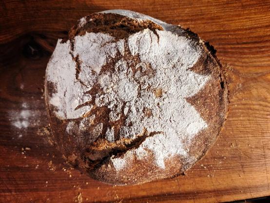 A loaf of homemade bread, shaped in the "boule" style (French for "ball"). The dough was extra dry and extra cold this time, so stayed more compact than usual; but that also made it more amenable to a score with my lame, which holds a razor blade in a curved position. That's why you get the beautiful lip you're seeing, instead of the bread just breaking into two halves there. We also see a delicate, complicated pattern stenciled on top of the bread, using rice flour, but it was inexpertly done and so is semi-blurry. The image has been heavily filtered in the style of Instagram.