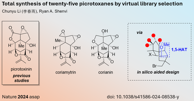 Total synthesis of twenty-five picrotoxanes by virtual library selection
Chunyu Li (李春雨), Ryan A. Shenvi
Nature 2024 asap                                     		 doi: 10.1038/s41586-024-08538-y