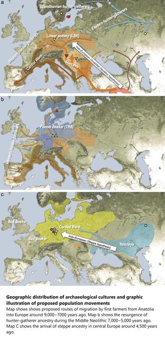 maps - Geographic distribution of archaeological cultures and graphic illustration of proposed population movements / turnovers discussed in the main text (symbols of samples are identical to Figure 1) (a) proposed routes of migration by early farmers into Europe ∼9,000-7000 years ago, (b) resurgence of hunter-gatherer ancestry during the Middle Neolithic 7,000-5,000 years ago, (c) arrival of steppe ancestry in central Europe during the Late Neolithic ∼4,500 years ago. White arrows indicate the two possible scenarios of the arrival of Indo-European language groups.