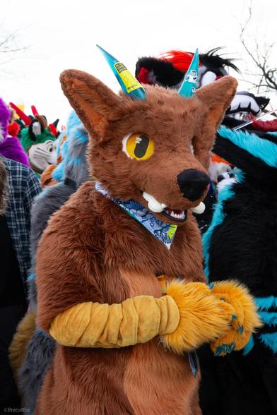 A picture of a werewolf-dragon fursuiter looking sideways into the camera. He has a little plush bone in his mouth; his hands are held in front of his chest, giving the expression he's excited and playful. The horns are decorized with stickers.