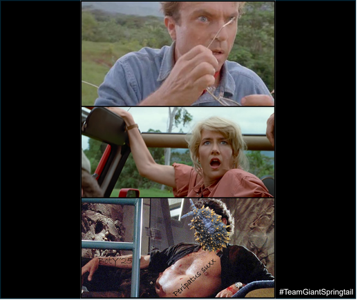 A meme showing a scene from Jurassic Park, where Dr Grant and Dr Sadler are shocked to see a dinosaur for the first time, except the final window shows a shirtless Jeff Goldblum with a giant springtail for a head.