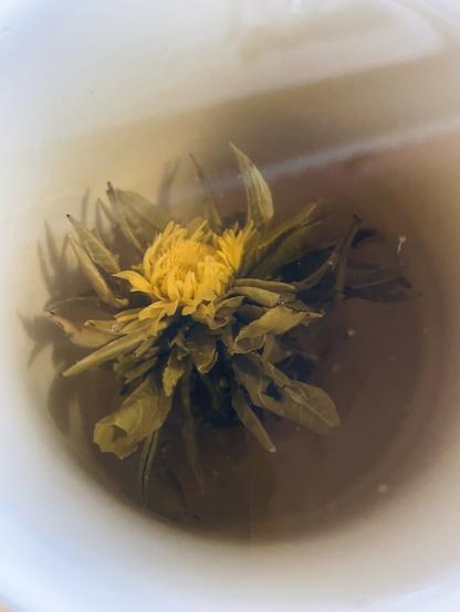 Close-up of a tea flower in a porcelain cup