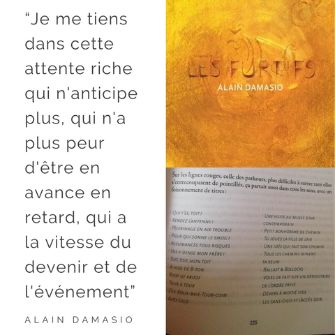 “Je me tiens dans cette attente riche qui n'anticipe plus, qui n'a plus peur d'être en avance en retard, qui a la vitesse du devenir et de l'événement” et couverture du livre de damasio les furtifs