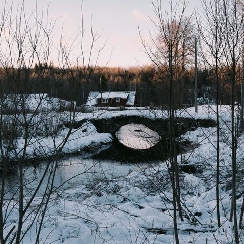 Vy mellan några träd över ett snötäckt landskap med en gammal välvd stenbro i mitten av bilden. Under den rinner en å som slingrar sig bort mot en gammal kvarn bakom bron. Skogen tornar upp sig mot den ljusa himlen i bakgrunden och trädtopparna smeks av låg morgonsol. Det finns ett lugn och värme i bilden.