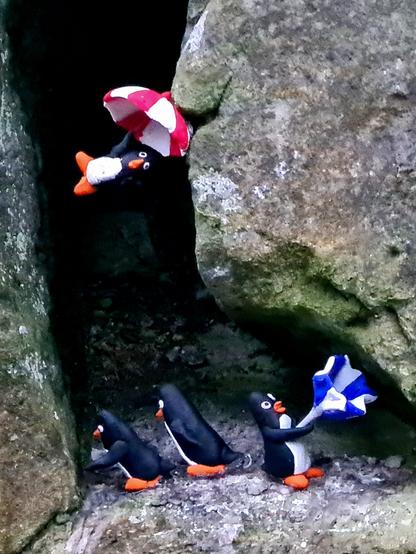 Two small model penguins are leaning into the wind, while a third fights with an inside out umbrella. Above them, a fourth hangs from an umbrella that has lifted it high into the air.