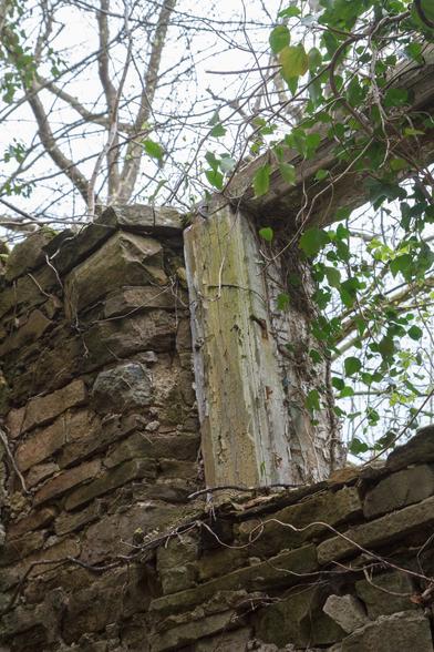 Rough stone wall with faint traces of plaster seen from below, with a sturdy, small wooden window frame with peeling white paint and a large amount of green ivy. Above, the ceiling and roof are missing - with distant, early spring leaves on trees in the background. Near Cromford, Derbyshire, April 2014.