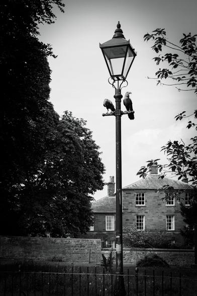Lamppost with two artificial birds perched on the crossbar; trees and old house in the background.