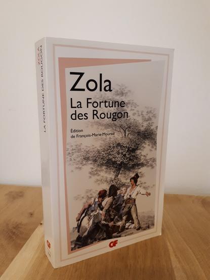 Un livre est posé à la verticale sur une table en bois clair. On voit la couverture du roman "La Fortune des Rougon" d'Emile Zola.