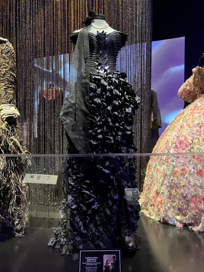 A black organza textured regency inspired dress with high black lace up boots