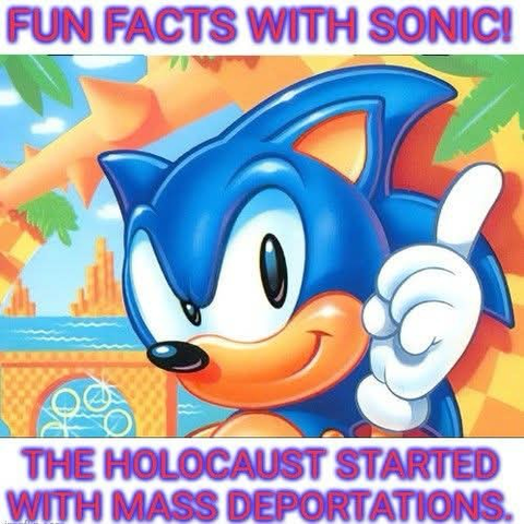 Picture of sonic, including text: fun facts with sonic, the holocaust started with mass deportations.