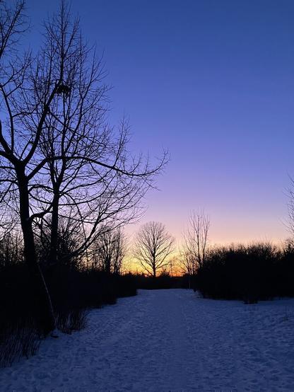 A well trodden snowy pathway in winter at dusk. The sky is fading blue to orange along the horizon leaving the bare trees in silhouette.