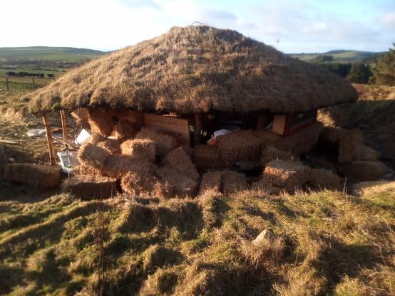 The roundhouse after the storm, with bales tumbled out of the walls. Bright sunshine!