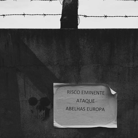 A black and white photo shows a weathered concrete wall topped with barbed wire fencing. A crumpled piece of paper affixed to the wall displays a stark warning in Portuguese: 'RISCO IMINENTE ATAQUE ABELHAS EUROPA' ('IMMINENT RISK ATTACK EUROPEAN BEES'). Below the notice, a stencil of a skull is visible on the wall. The overall image creates a sense of foreboding and danger, suggesting a warning about aggressive bees.