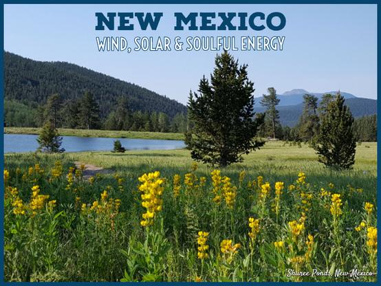 Yellow flowers in the foreground, with a green meadow between the flowers and a small pond. Mountains in the background. The setting is Shuree Ponds in New Mexico.