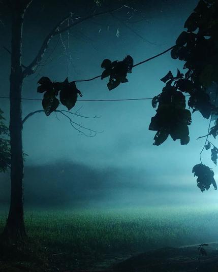 A tree and some leaves at the edge of woodland are silhouetted against a field of lush green crops at night, lit only by a pale, heavy mist seeping over the field that makes the night sky appear turquoise. In the foreground there is a narrow path in the foreground leading into the field, and a thin cable that extends across the shot at around the same high as the leaves. The photograph was posted to Instagram by cinematographer Abhishek Modak on Monday and is captioned "Captured when boys were lighting the fields."