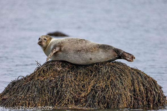 Just hanging out on the rocks