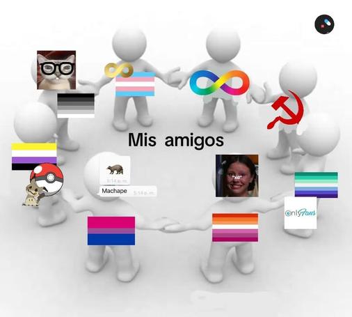 un círculo de amistades: neurodivergente, comunista, gay con onlyfans, lesbiana que siempre pone xD, mapache bisexual, no binarie pokefan, hetero gato nerd y autista trans