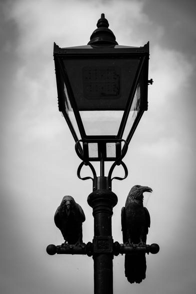Top of an old lamppost against a cloudy sky with two artificial, metal birds perched on the crossbar.
