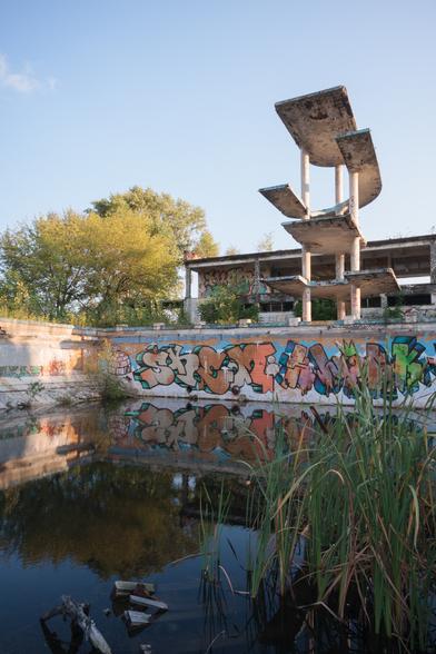 Multi-level structure for diving boards - all spindly poles and curved concrete platforms - rising above the side of an abandoned open-air swimming pool, of white tiles covered in colourful graffiti, reflected in the water remaining at the bottom of the pool's deep end. In the foreground, the base of the pool is filled with bullrushes - in the background, green tree foliage glows in the evening light.