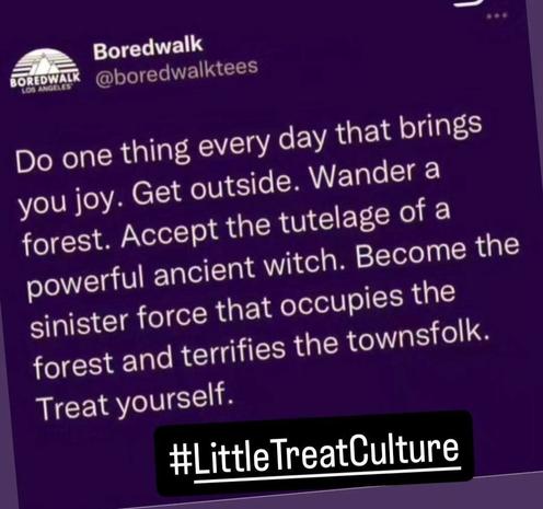 White text published by an @boredwalktrees against deep purple background: "Do one thing every day that brings you joy. Get outside. Wander a forest. Accept the tutelage of a powerful ancient witch. Become the sinister force that occupies the forest and terrifies the townsfolk. Treat yourself."

Under that, link text to a hashtag "LittleTreatCulture."