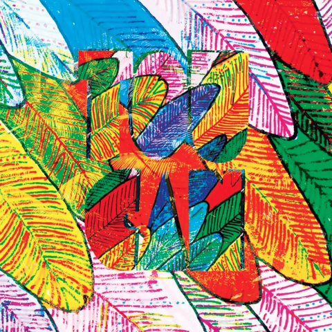 Jack Dupon — Toucan cover art
