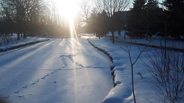The sun shines through trees behind a snow-covered lake with a path next to it.