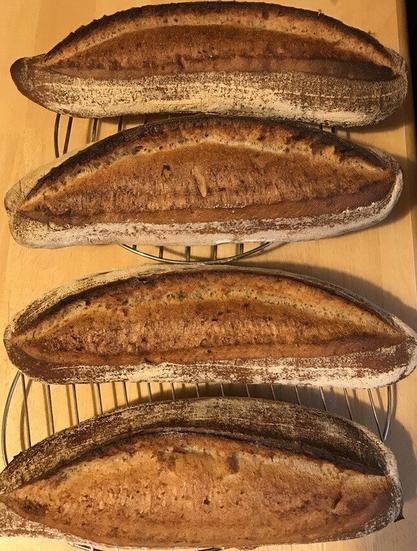 top view of 4 baguettes - 031020