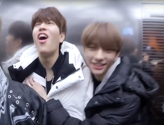 Seungmin makes a complainy face while Hyunjin squashes him against the wall of an elevator