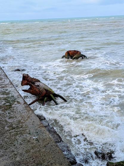 Two large, dark metal crabs in the surf. One crab is close to the sea wall and the other is a few metres further out.
