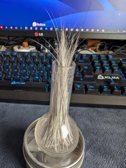 Eine kleine Glasvase voller Katzenschnurrhaare steht vor meiner Tastatur. Im Hintergrund ein Monitor.