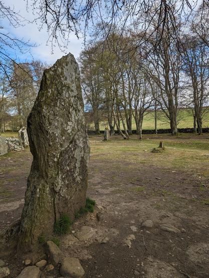 A lichen-spotted stone stands in the foreground to the left. In the background are several smaller standing stones, some mostly bare trees, and a low stone wall separating the Clava Cairns site from a grassy field. The sky is blue and partly cloudy.