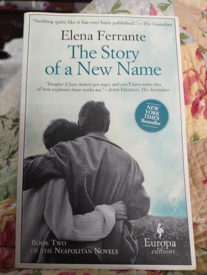 Photo of the cover of the book showing a woman and a man from behind. They have their arms around eachother. The view in front of them is unclear. All in shades of blue and grey.