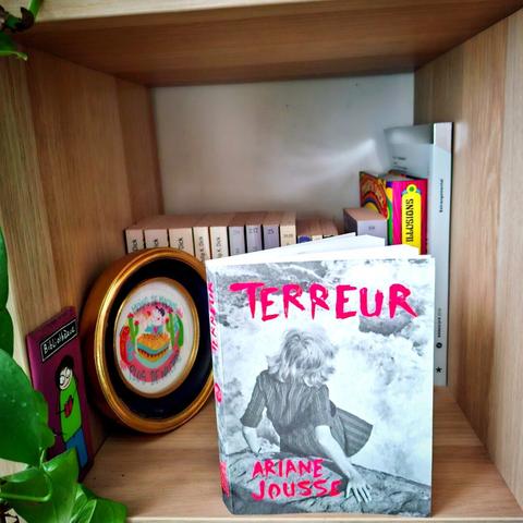 Livre "Terreur" d'Ariane Jousse aux éditions de l'Ogre dans une case Kallax avec des livres et des décos en arrière-plan.
