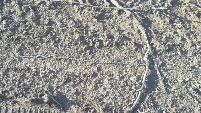 Eine gerissene Fahrradkette liegt auf einem matschigen Waldweg.