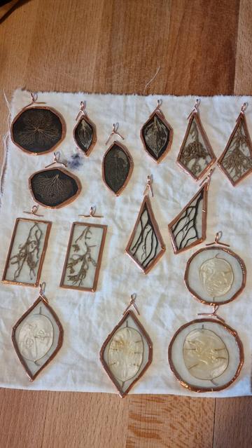 Some glass pendants with their bails detached above them. All contours and bails look like copper. After they're soldered they will look silvery. Between the glass planes are lunaria discs, plants roots, and skeleton leaves and hydrangea petals. The latter have a black background so they stand out more on the skin.