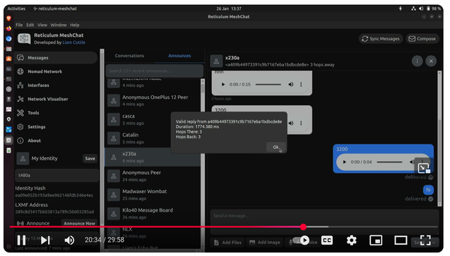 screenshot from video showing a chat window