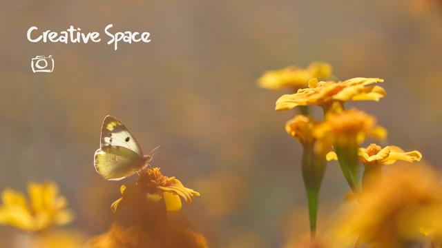 "Creative Space" on my YouTube and PeerTube channels.