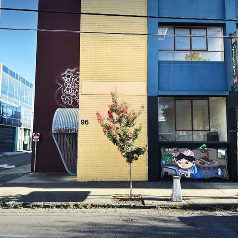 A street scene. In the middle, a tree with green leaves and pink flowers in front of a yellow wall. On the right, a fire hydrant is in front of a small mural of a kid playing on a gaming console with a bonsai tree behind him, under some windows. On the left, a curved metal cover around the entrance to the building. Beyond, on the left, a blue sky and a side street.