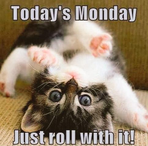Kitten making a roll, picture snappen when it's upsidedown, text:
Today's Monday
Just roll with it!
