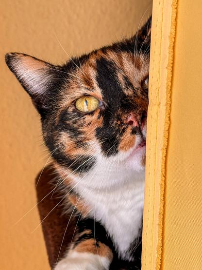 At half hiding behind a curtain