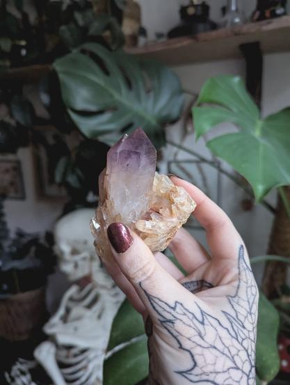 Ein Foto meiner rechter Hand, die einen Amethysten mit lila Spitze hält. Der Amethyst fußt auf mehreren weißen Bergkristallen. Im Hintergrund des Fotos sind hauptsächlich Pflanzen zu sehen.