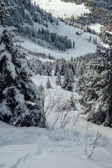 Photography of a very snowy downhill with threes and a cabin in the background seen from above