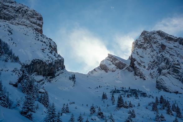 Photography of a very snowy mountain landscape with snow threes, we can see the path of skitourer, the wind is making the snow fly
