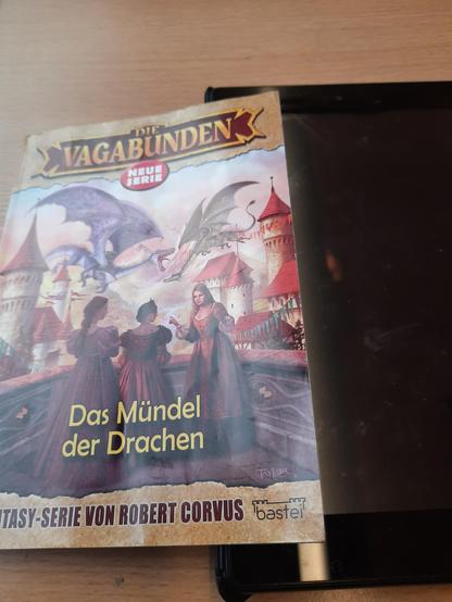 Cover Das Mündel der Drachen - Die Fantasy Serie von Robert Corvus. Zeigt drei Frauen auf einer Burg über der zwei Drachen fliegen.
