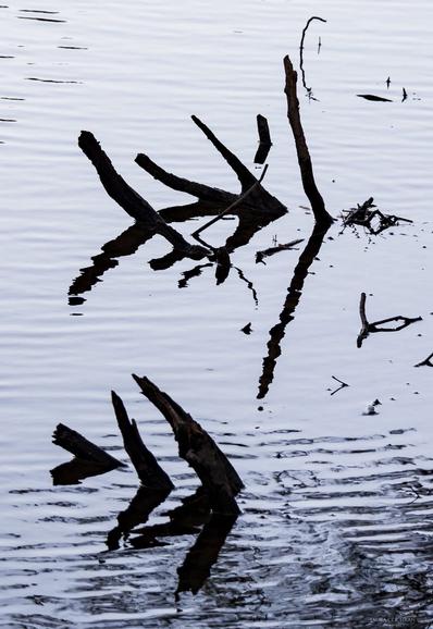 Sticks and their reflections create new shapes.