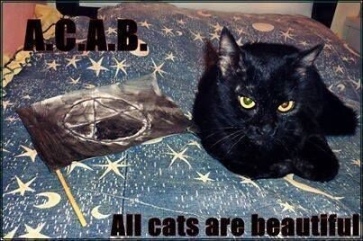 Photo of a black cat with an anarchist flag next to them, captioned "all cats are beautiful"